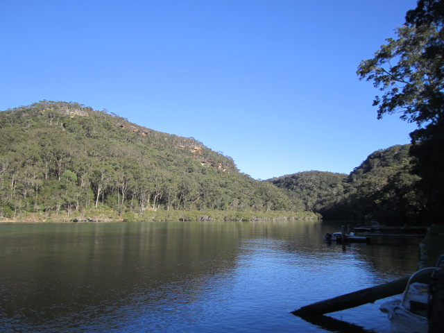 view from shed